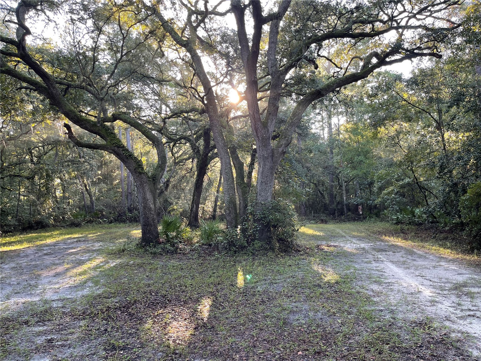 TBD 188th Place Mc Alpin FL 32062 GC537853 image1
