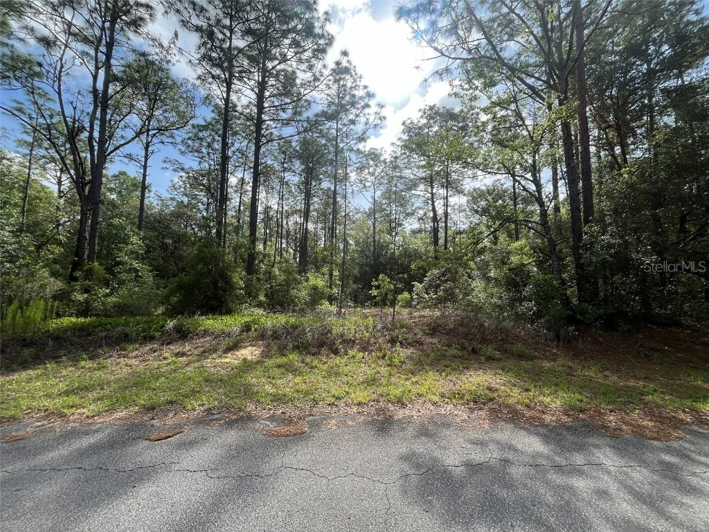 TBD 201 Circle Dunnellon FL 34431 OK225185 image1