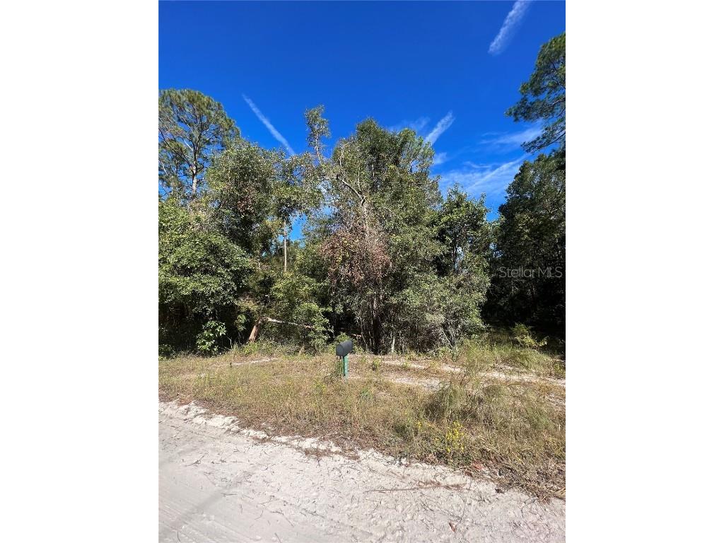TBD 204th Street O'Brien FL 32071 G5076462 image1