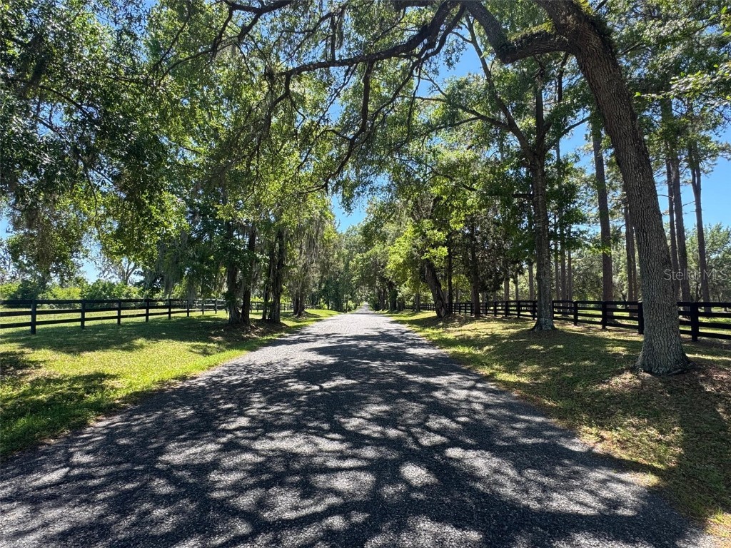 TBD(21.76ac) NW 115 Avenue Ocala FL 34482 OM699739 image2