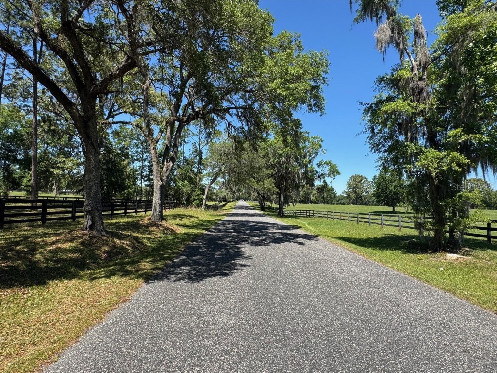 TBD(21.76ac) NW 115 Avenue Ocala FL 34482 OM699739 image7