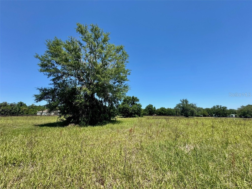 TBD(21.76ac) NW 115 Avenue Ocala FL 34482 OM699739 image8