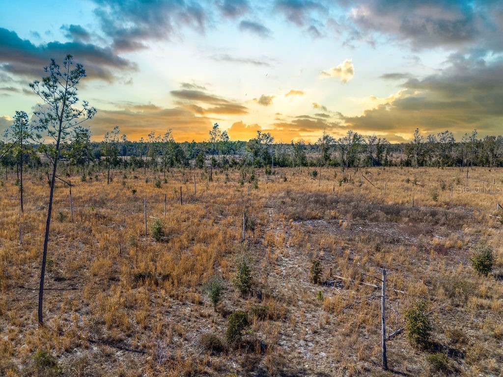 TBD 211th Court Live Oak FL 32060 GC537275 image10
