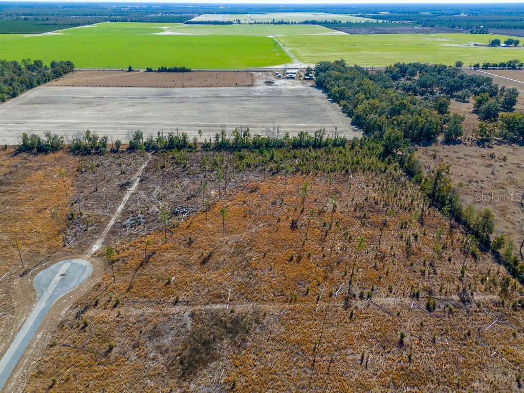 TBD 211th Court Live Oak FL 32060 GC537275 image11