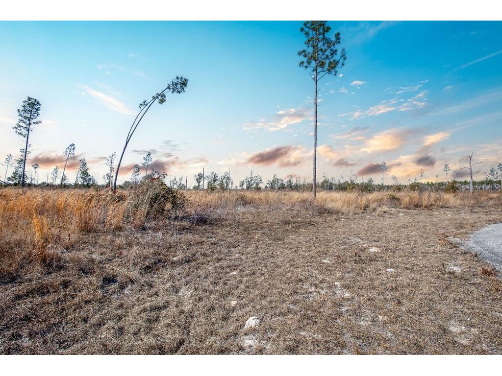 TBD 211th Court Live Oak FL 32060 GC537275 image13
