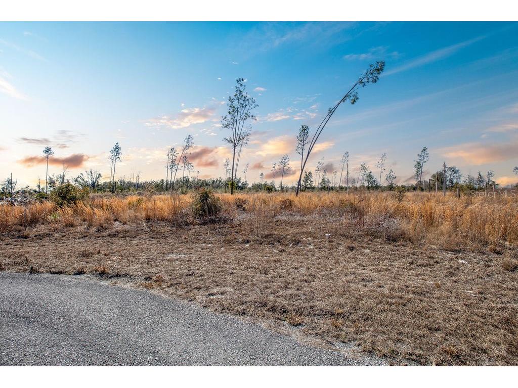 TBD 211th Court Live Oak FL 32060 GC537275 image14