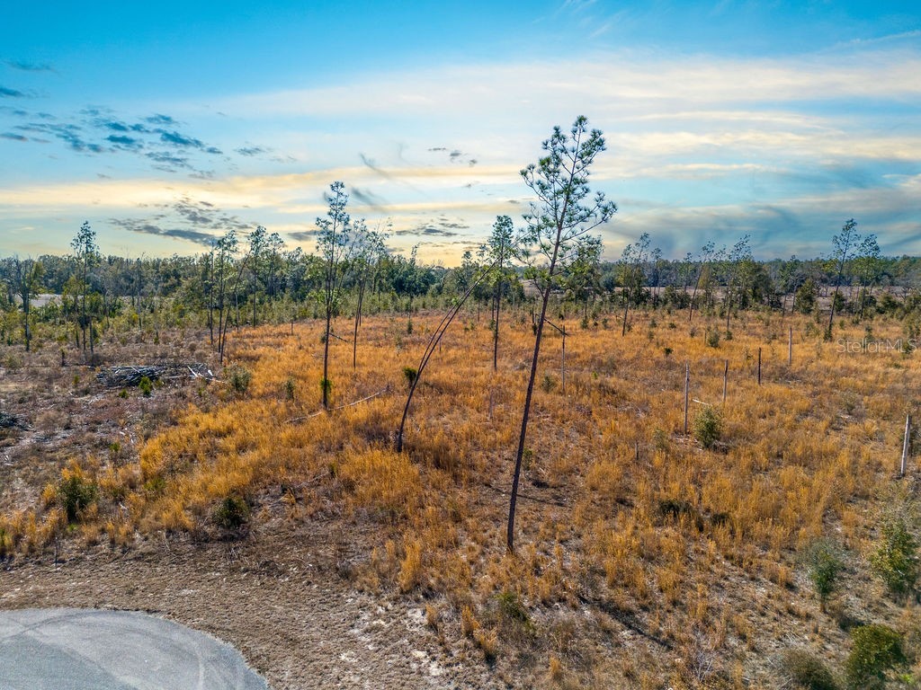 TBD 211th Court Live Oak FL 32060 GC537275 image3
