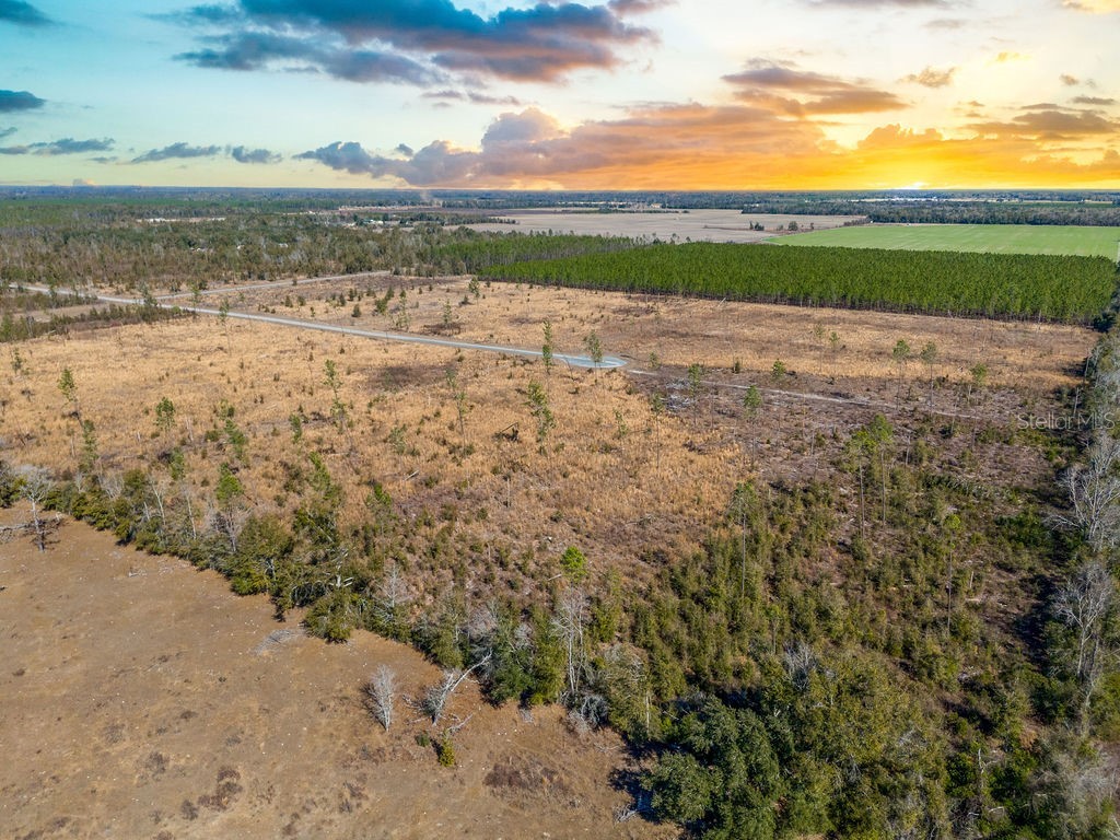TBD 211th Court Live Oak FL 32060 GC537275 image5
