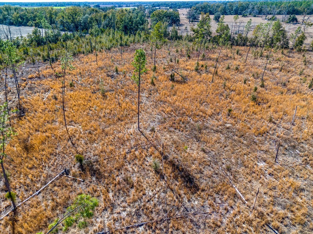 TBD 211th Court Live Oak FL 32060 GC537275 image6