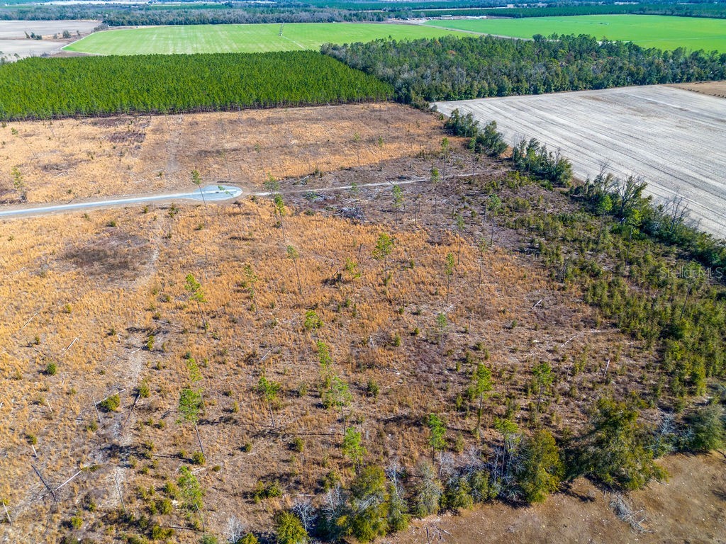 TBD 211th Court Live Oak FL 32060 GC537275 image7