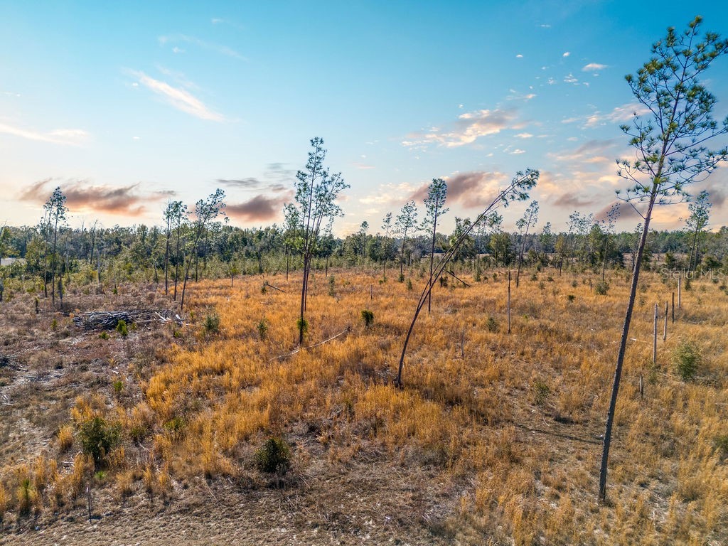 TBD 211th Court Live Oak FL 32060 GC537275 image8