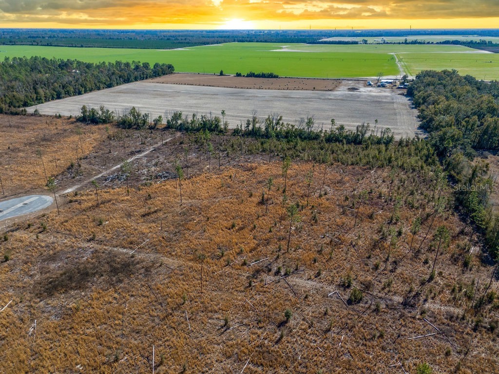 TBD 211th Court Live Oak FL 32060 GC537275 image9