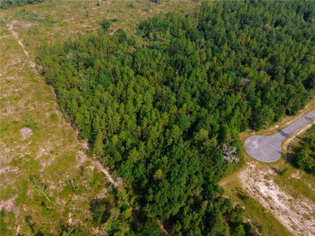 TBD 213th Lane Live Oak FL 32060 GC514633 image1