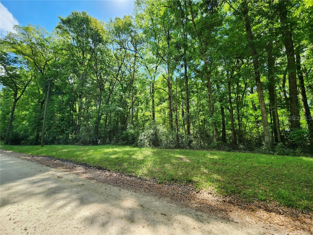 TBD 284th Street Branford FL 32008 - ICHETUCKNEE & SANTA FE RIVERS GC520393 image1