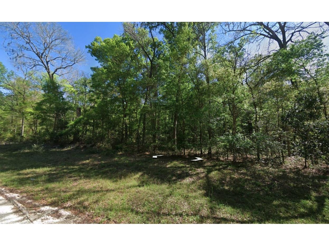 TBD 284th Street Branford FL 32008 OK224960 image1