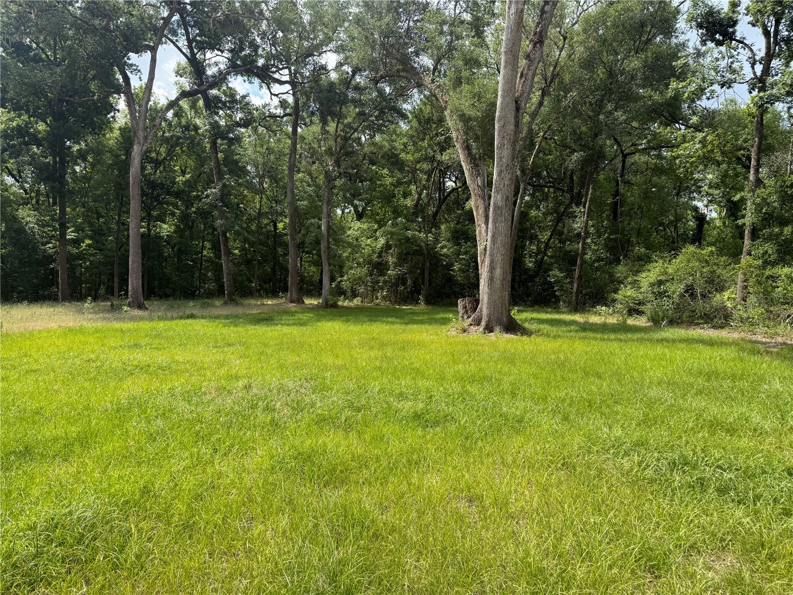 TBD 292nd St Branford FL 32008 GC539820 image6