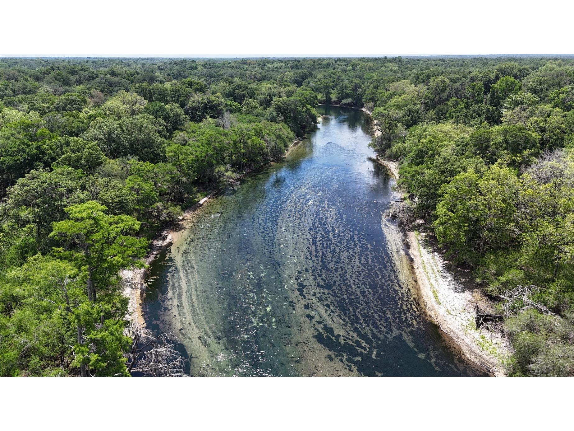 TBD 292nd St Branford FL 32008 GC539820 image9
