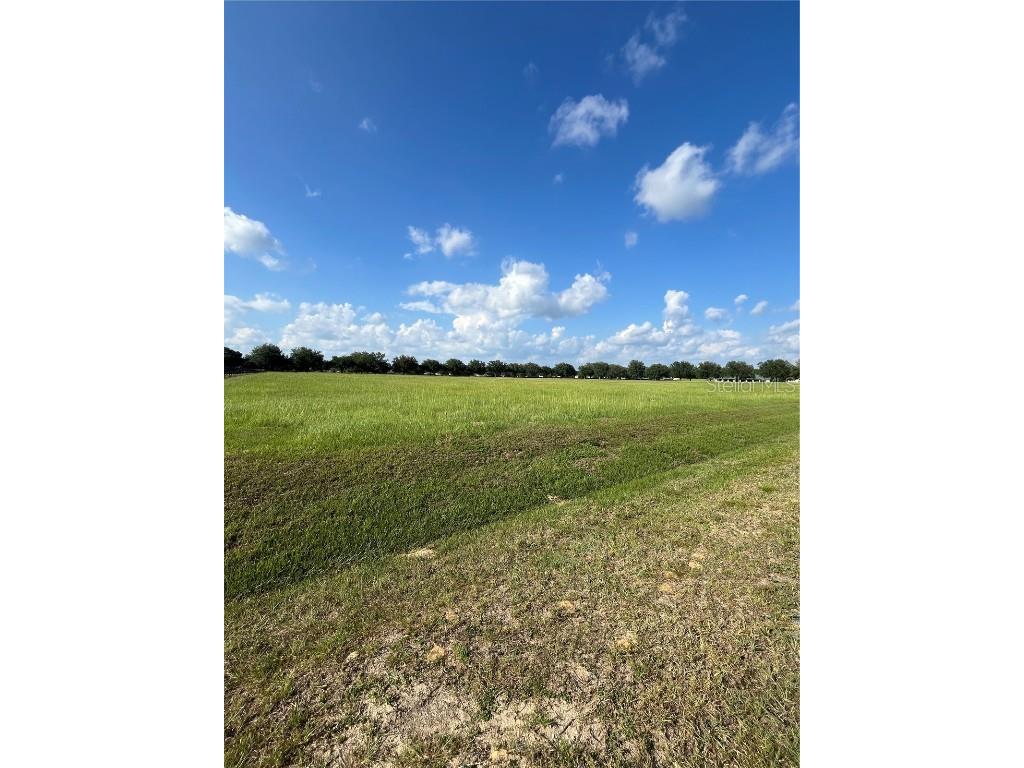 TBD 54 Loop Ocala FL 34482 OM697970 image3