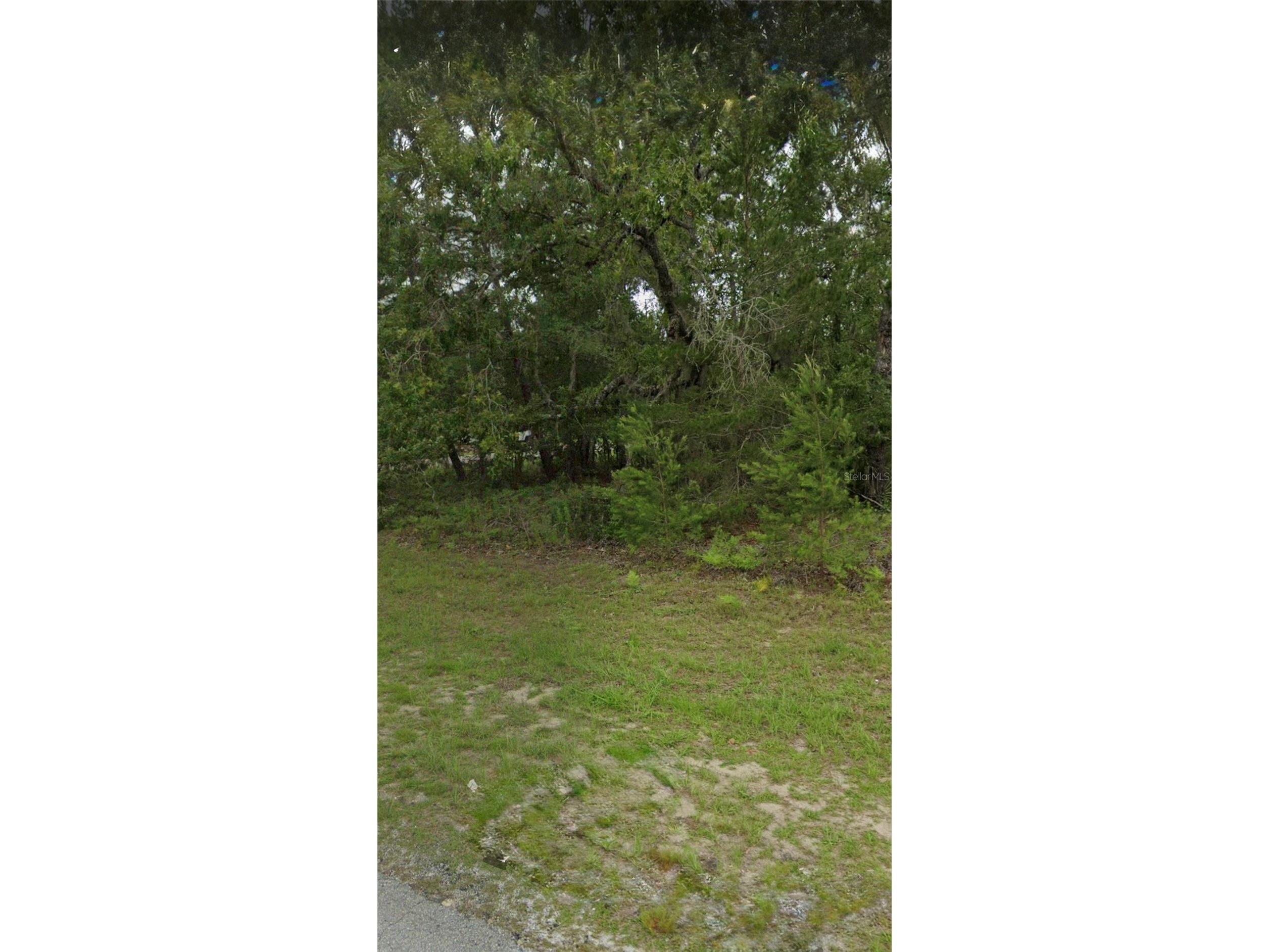 TBD 55th Court Rd Ocala FL 34473 OM718668 image1