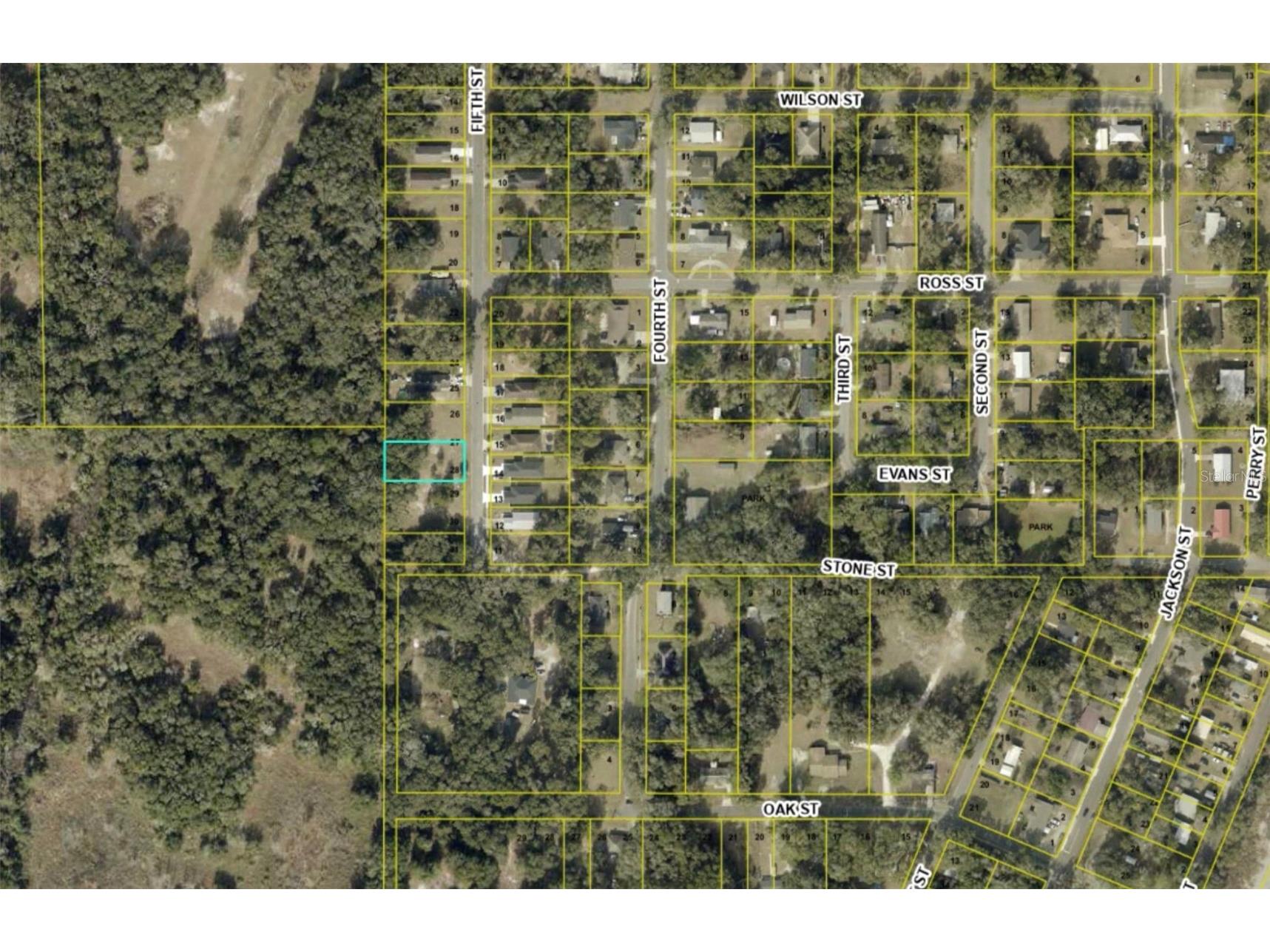 TBD 5th Street Wildwood FL 34785 OM724263 image3