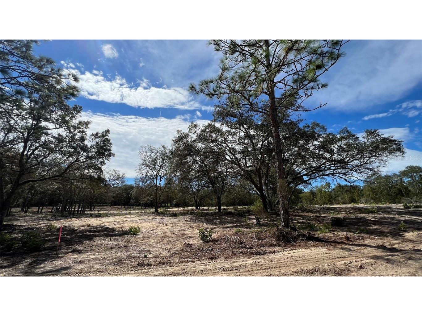 TBD 72nd Place NE Bronson FL 32621 GC516397 image1