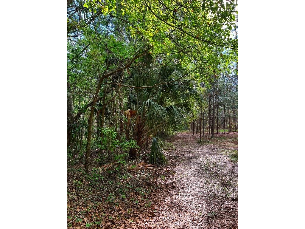 TBD 76th Street Live Oak FL 32060 U8195281 image1