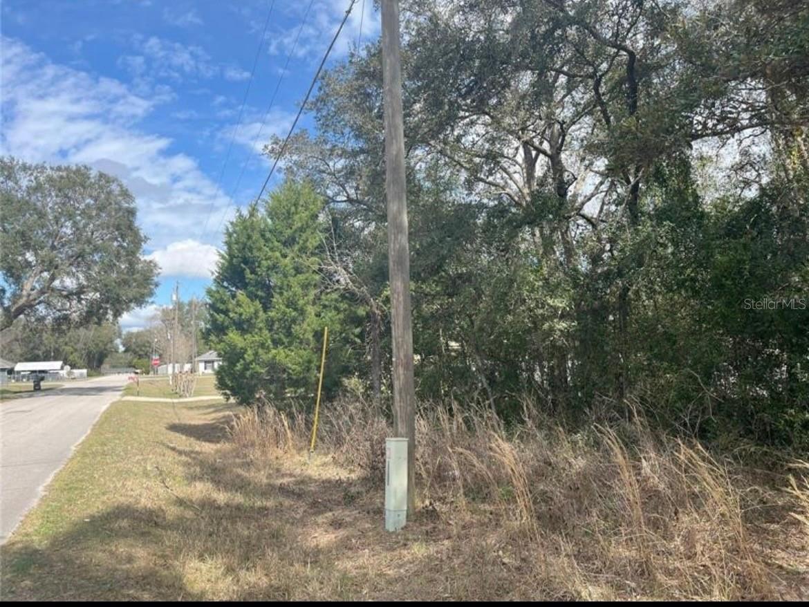 TBD 94th Ave Belleview FL 34420 O6389258 image3