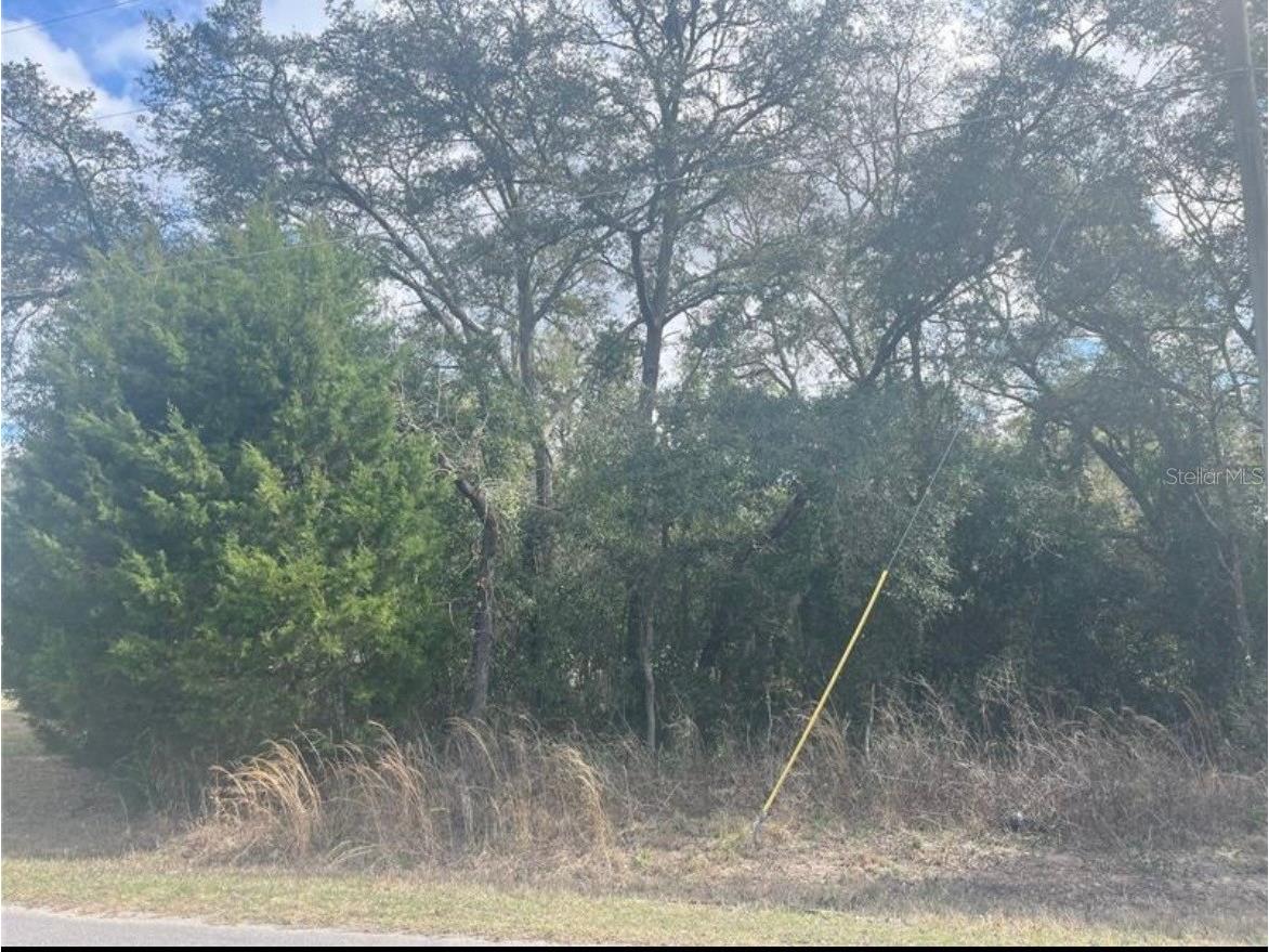 TBD 94th Ave Belleview FL 34420 O6389258 image4
