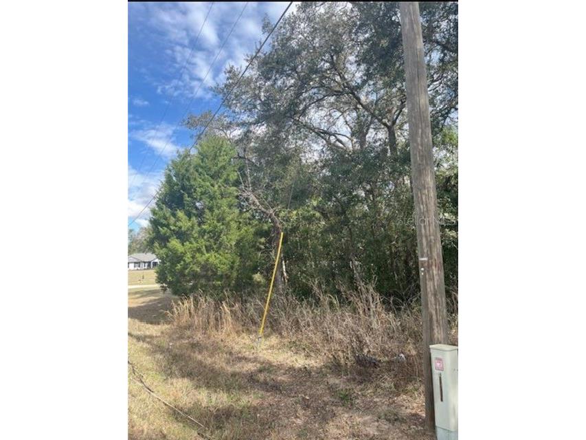 TBD 94th Ave Belleview FL 34420 O6389258 image5