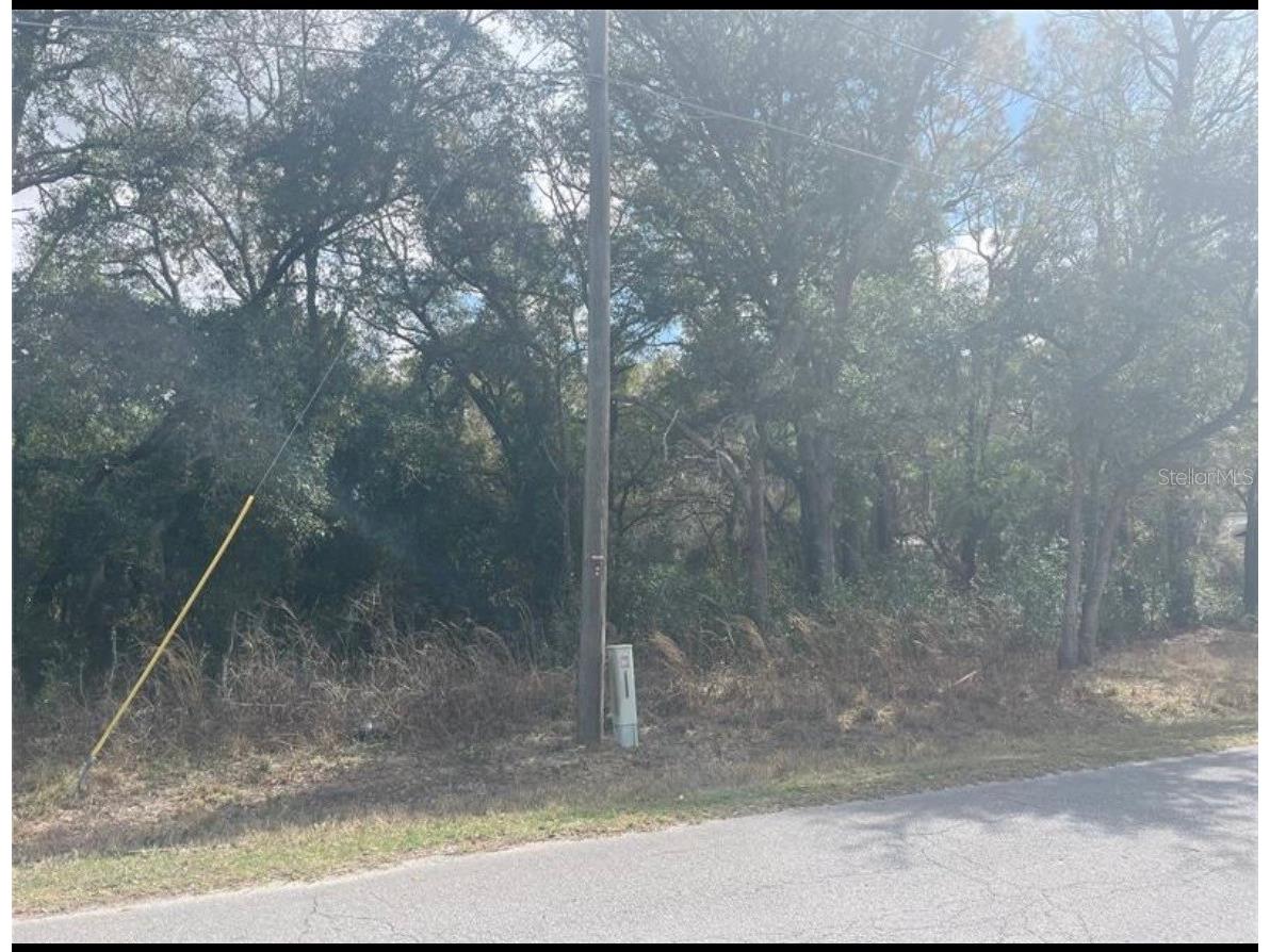 TBD 94th Ave Belleview FL 34420 O6389258 image6