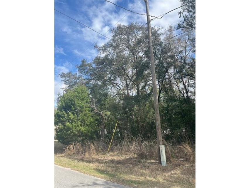 TBD 94th Ave Belleview FL 34420 O6389258 image7