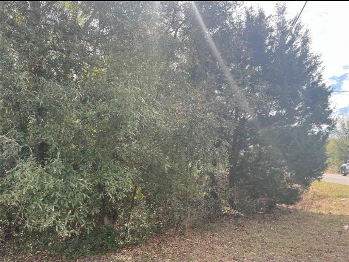 TBD 94th Ave Belleview FL 34420 O6389258 image8