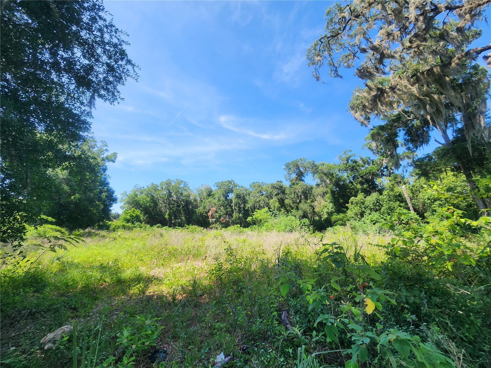 TBD 97th Street Road Anthony FL 32617 OM725890 image4