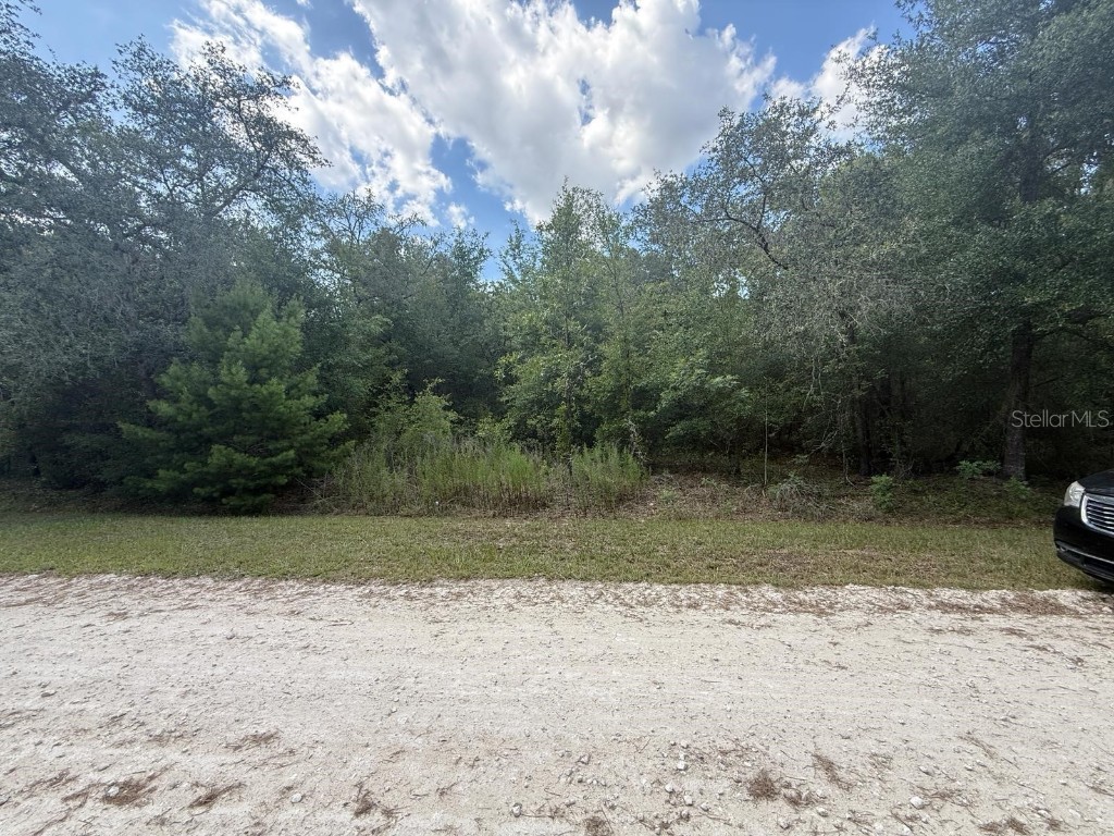 TBD 98th Street Dunnellon FL 34432 S5129720 image1