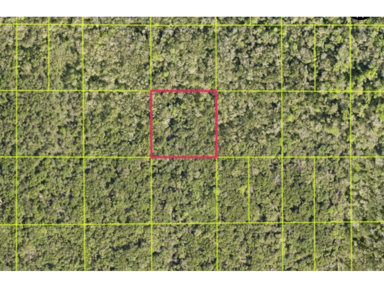 TBD Access Rd Oak Hill FL 32759 OM716917 image1