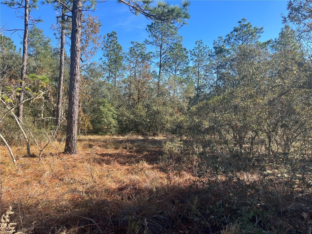 TBD Admiral Landing Dunnellon FL 34431 OK223540 image1
