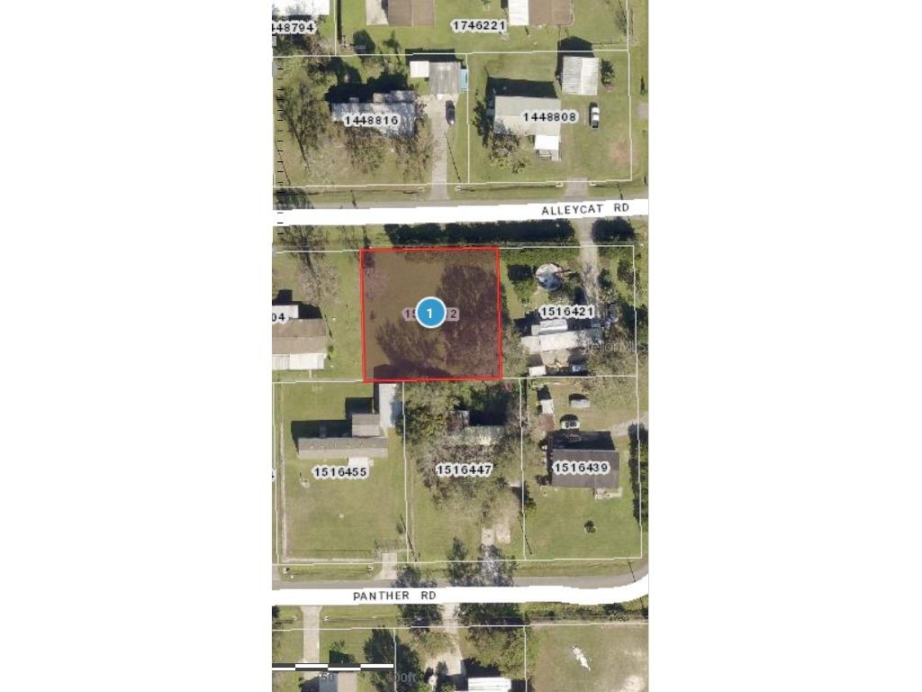 TBD Alleycat Road Astor FL 32102 OM674562 image1