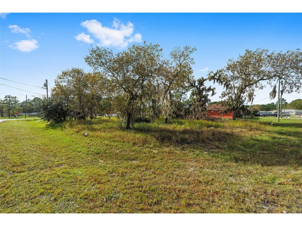 TBD Bahia Trce Ocala FL 34472 OM656122 image1