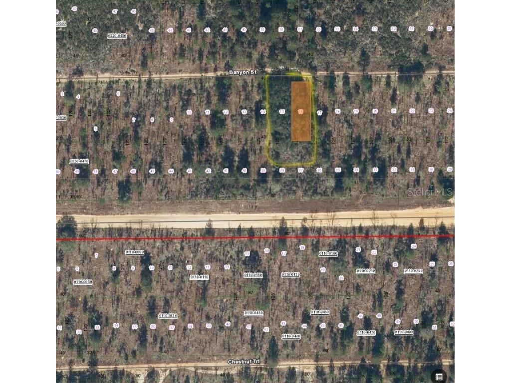 TBD Banyan Street Interlachen FL 32148 OM696443 image1