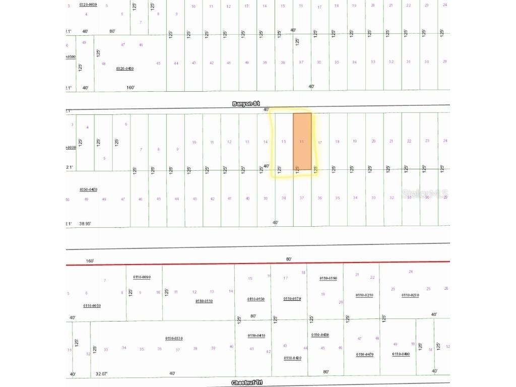 TBD Banyan Street Interlachen FL 32148 OM696443 image2