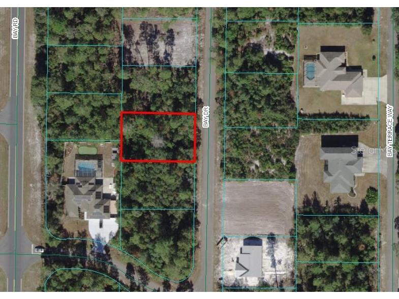 TBD Bay Drive Ocklawaha FL 32179 OM672250 image1