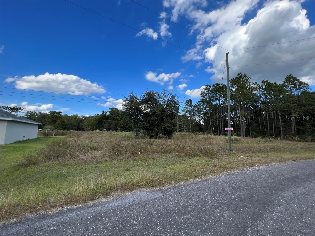 TBD Bay Pl Court Ocklawaha FL 32179 OM667885 image1