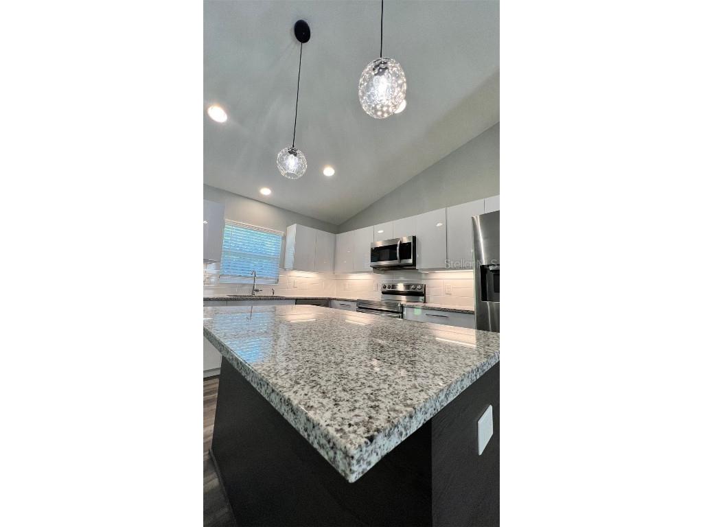 TBD Bay Place Course Ocklawaha FL 32179 OM679169 image6