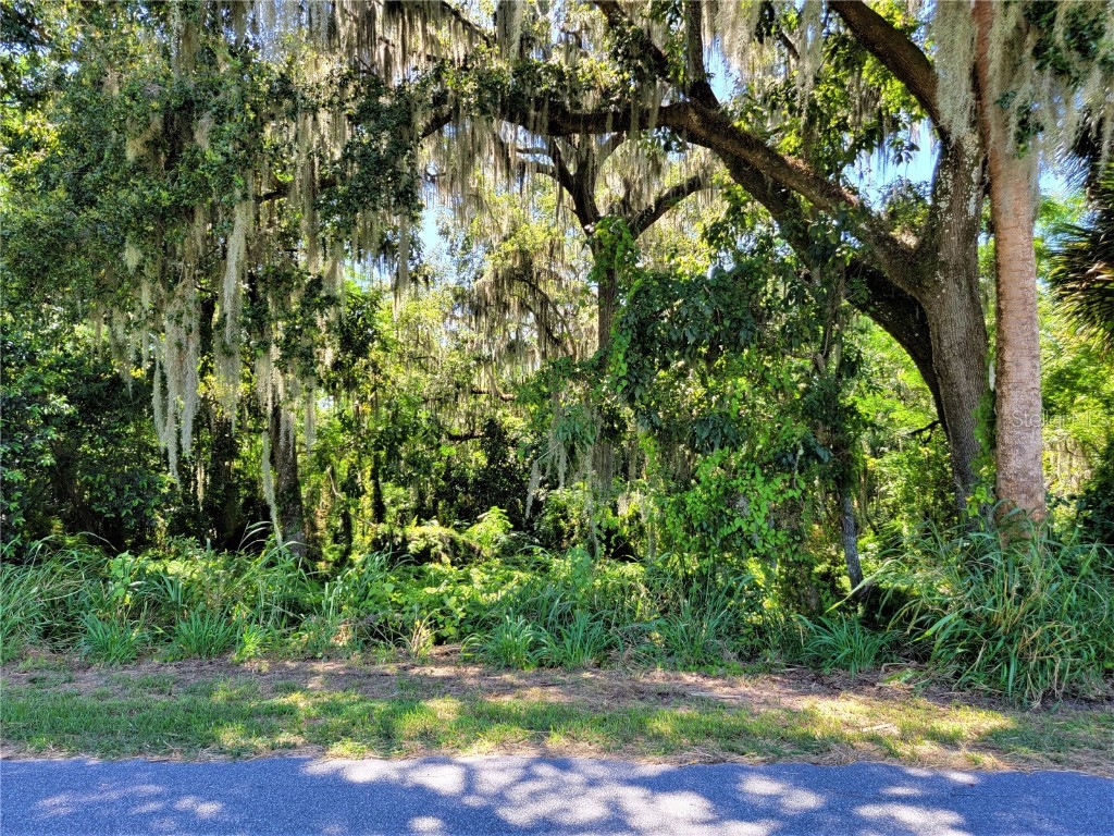 TBD Bloomfield Avenue #PARCEL 1 Yalaha FL 34797 O6048060 image1