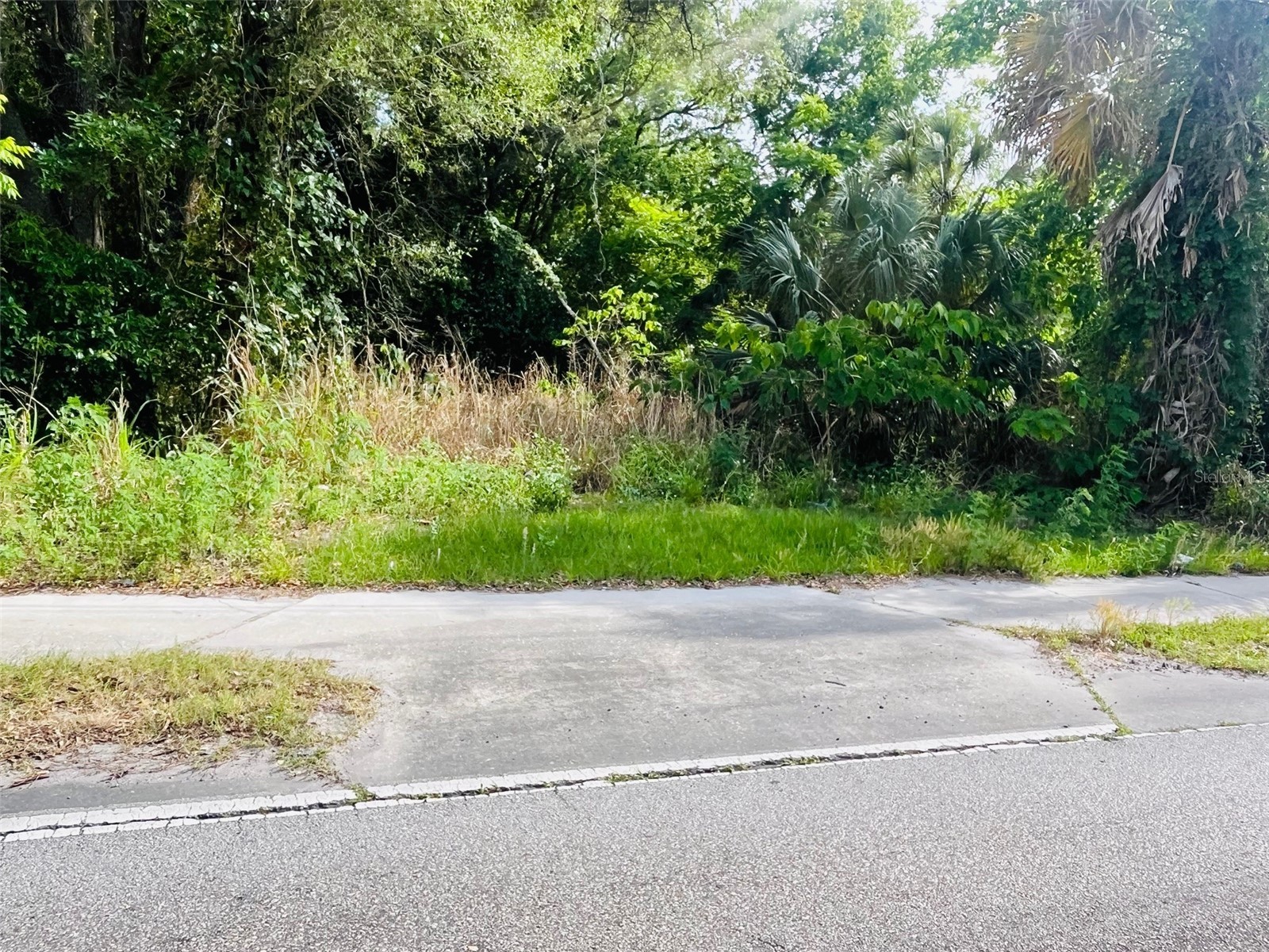 TBD Celery Avenue Sanford FL 32771 O6400940 image2