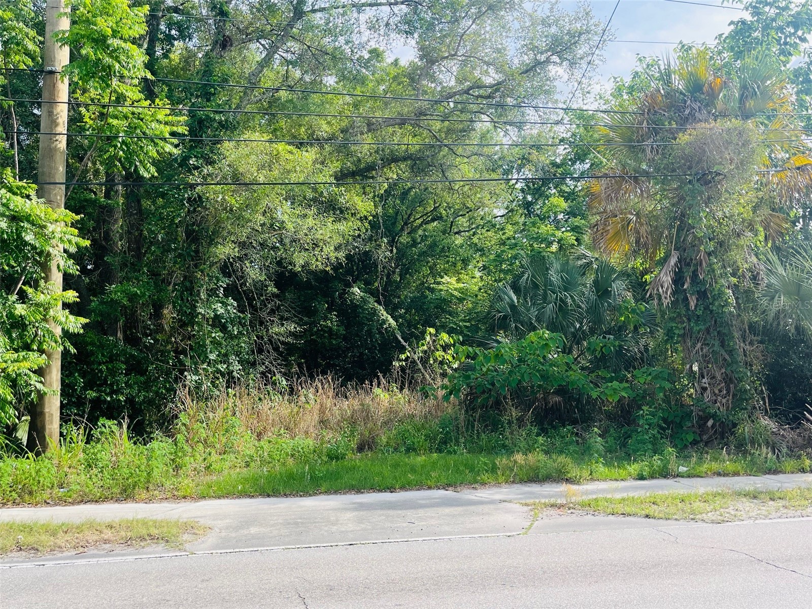 TBD Celery Avenue Sanford FL 32771 O6400940 image4