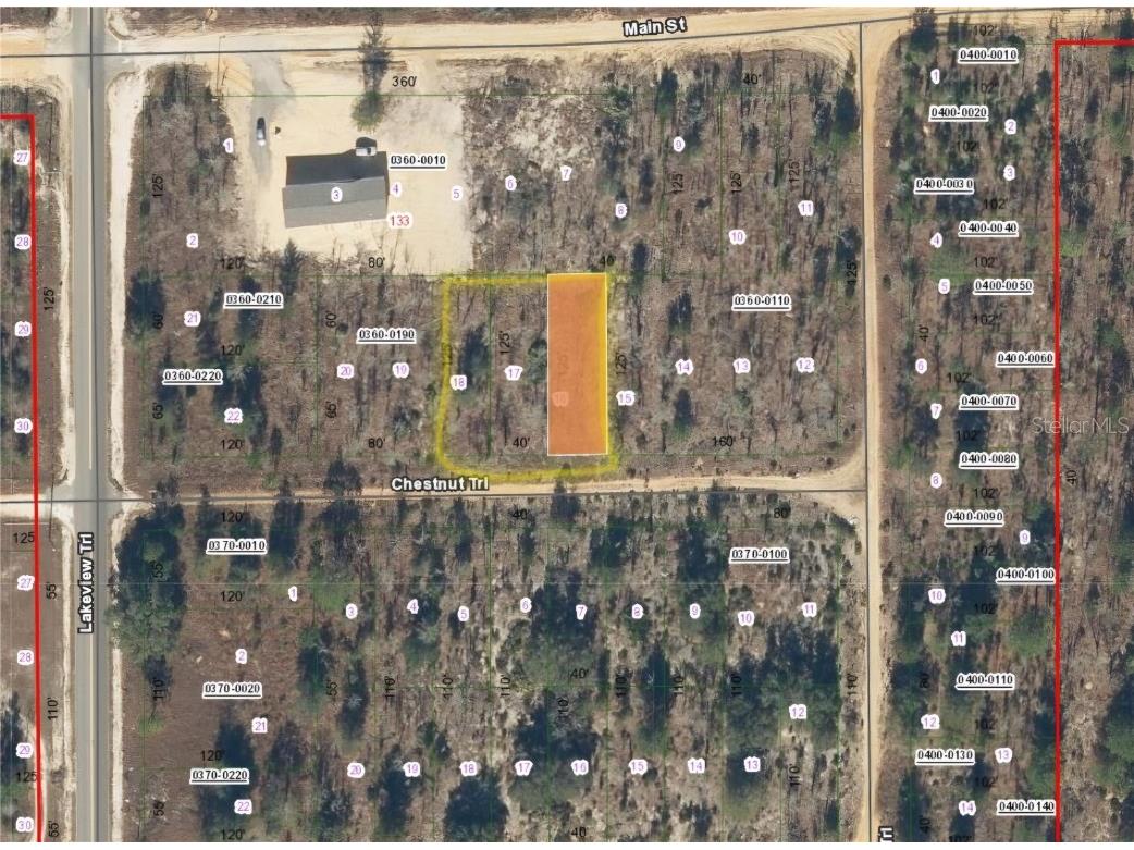 TBD Chestnut Trl Interlachen FL 32148 OM696445 image1