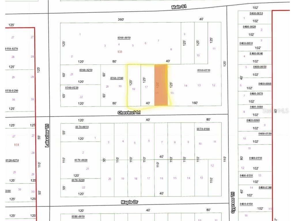 TBD Chestnut Trl Interlachen FL 32148 OM696445 image2