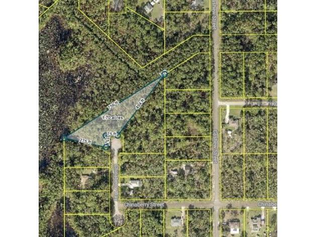 TBD Chinaberry Way Eustis FL 32736 G5088213 image1
