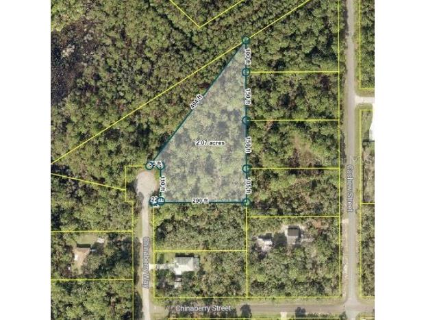 TBD Chinaberry Way Eustis FL 32736 G5088218 image1